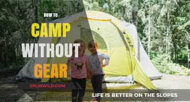 Camping Essentials: How to Camp Without Gear and Still Thrive