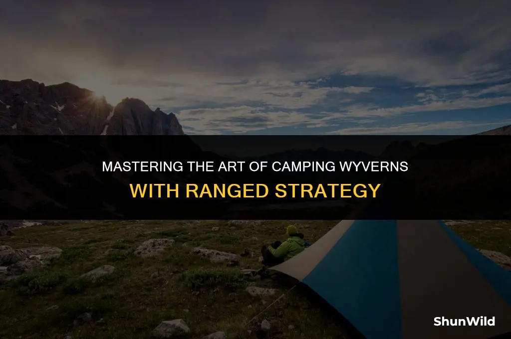how to camp wyverns with range
