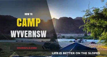 Mastering Wyvernsw Camping: Essential Tips for a Thrilling Outdoor Adventure