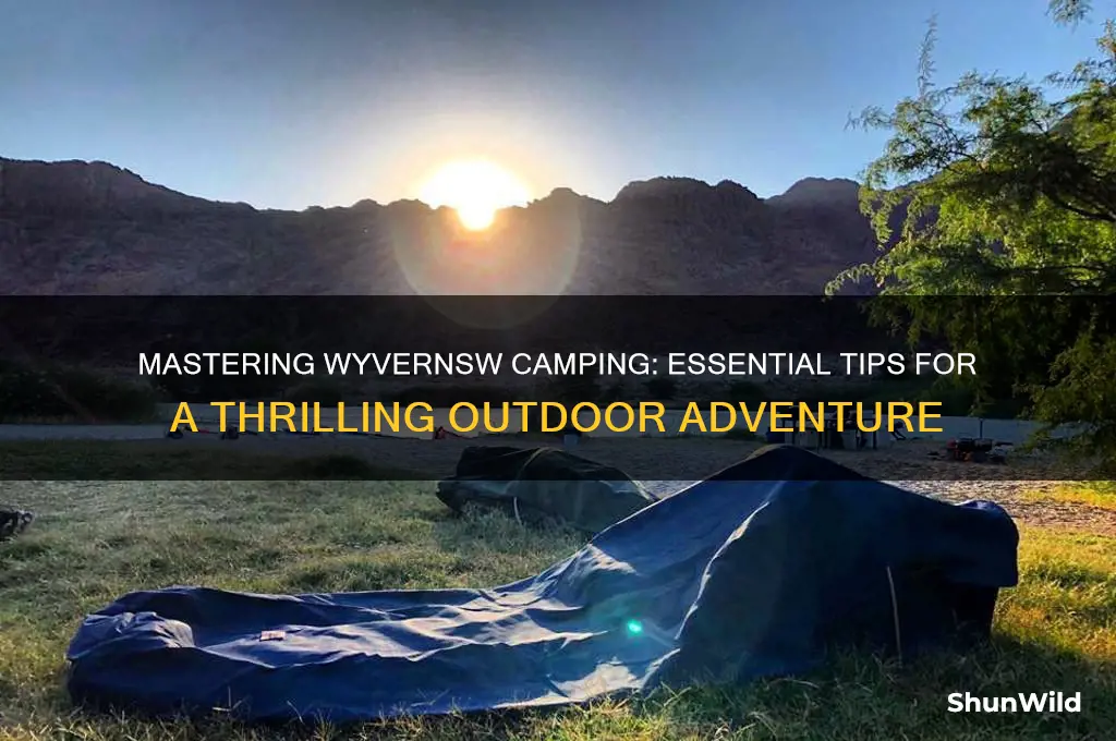 how to camp wyvernsw