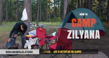 Mastering Zilyana Camping: Essential Tips for Efficient and Profitable Runs