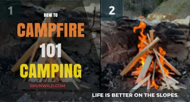 Mastering the Art of Campfire Building: A Beginner's Camping Guide