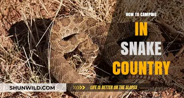 Exploring the Wilderness: A Guide to Camping in Snake Country