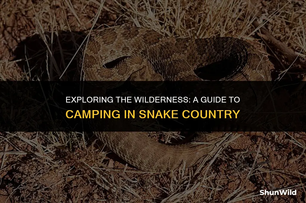 how to camping in snake country
