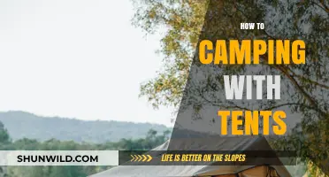 Master the Art of Tent Camping: Essential Tips for Outdoor Adventures