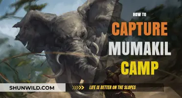 Conquering Mumakil Camp: Essential Strategies for a Successful Capture