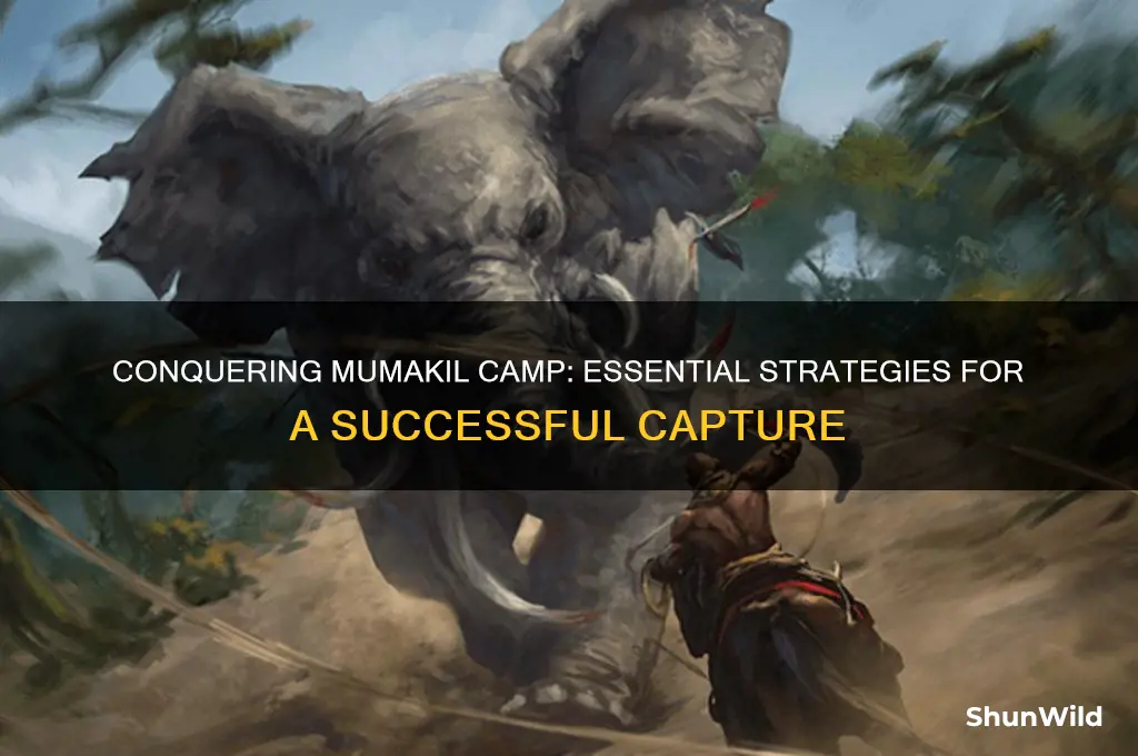how to capture mumakil camp