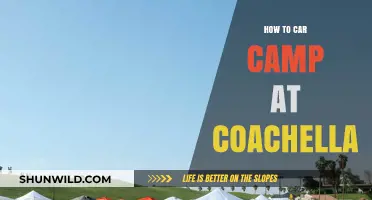 Desert Dreams: The Ultimate Guide to Car Camping at Coachella