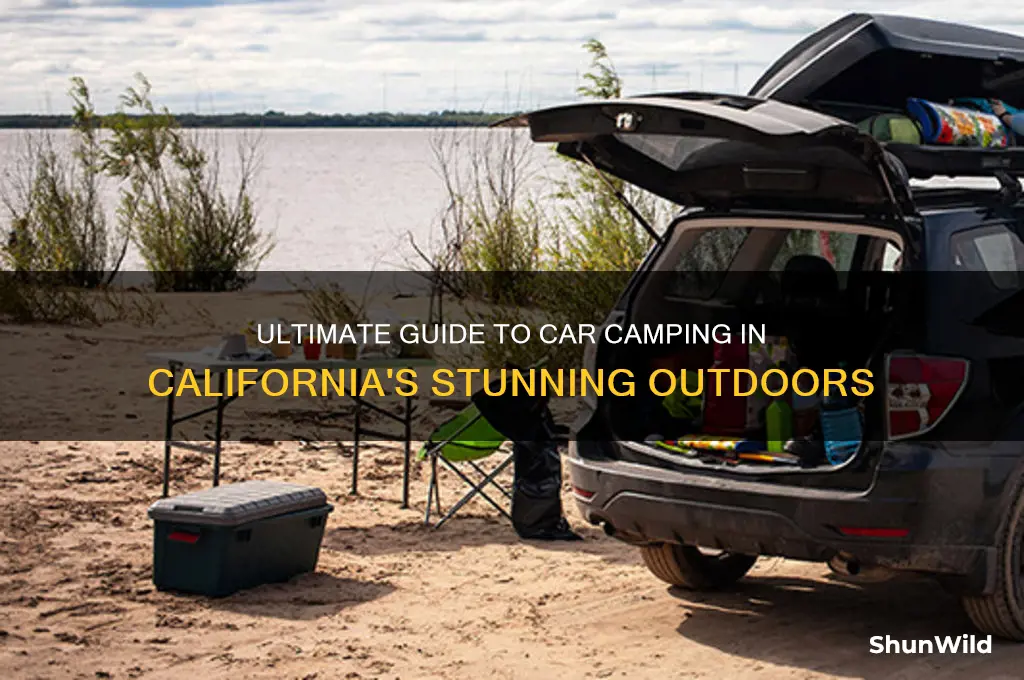 how to car camp california
