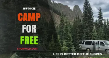 Adventure on a Budget: The Ultimate Guide to Free Car Camping