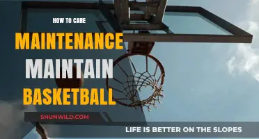 The Ultimate Guide to Basketball Care and Maintenance