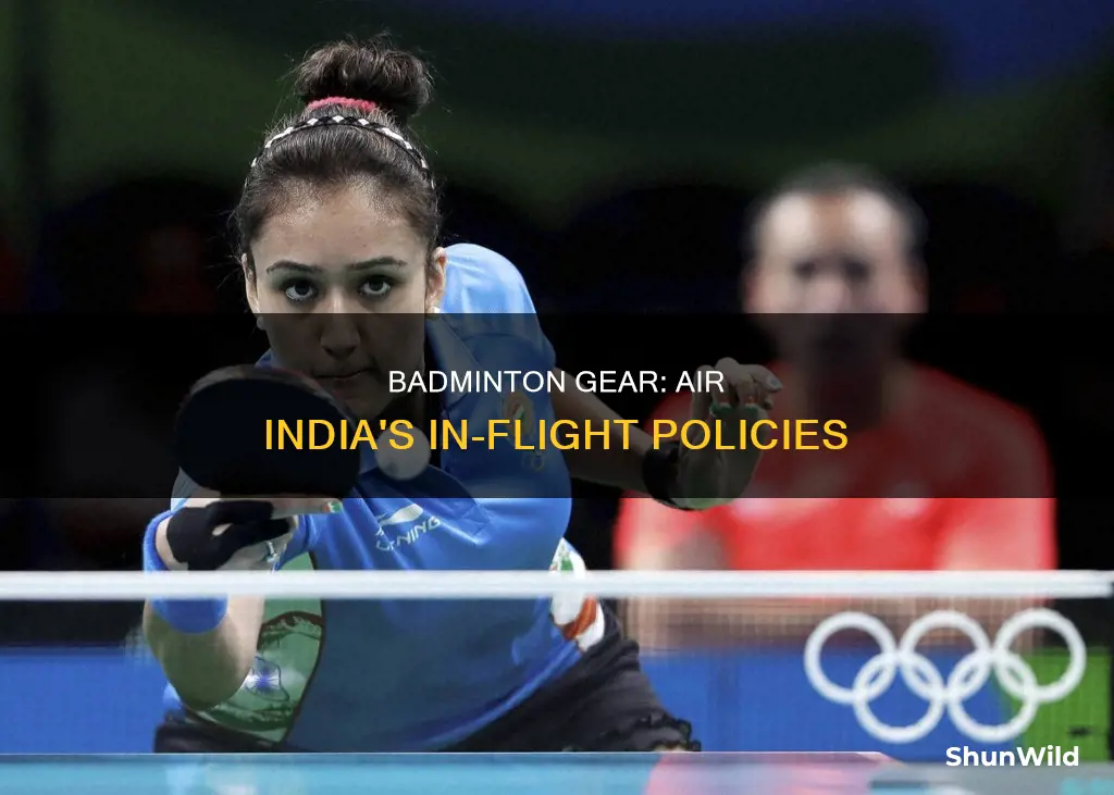 how to carry badminton racket in air india flight