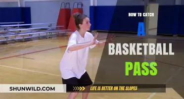 Catching Passes: Basketball Basics
