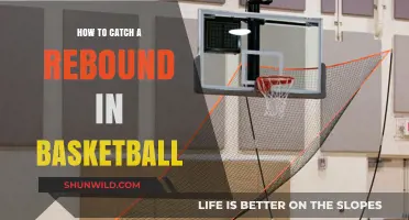 Rebound Mastery: Basketball's Secret Weapon