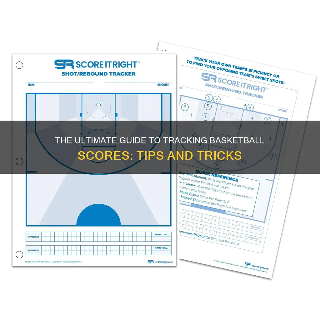 how to check basketball scores