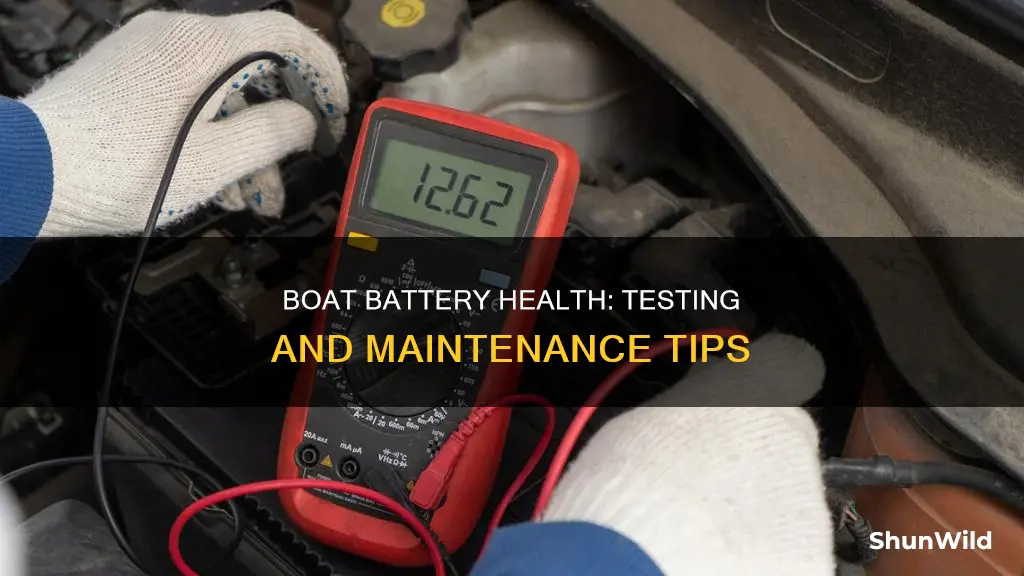 how to check boat battery health