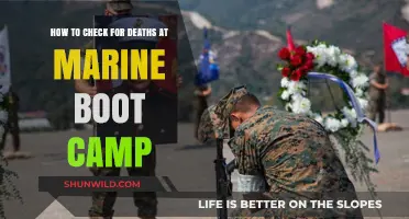 Investigating Marine Boot Camp Fatalities: A Guide to Checking Records