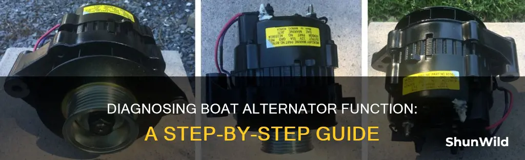how to check if an boat alternator is working