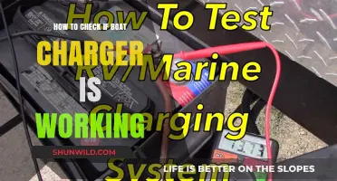 Diagnosing Boat Charger Issues: A Comprehensive Guide