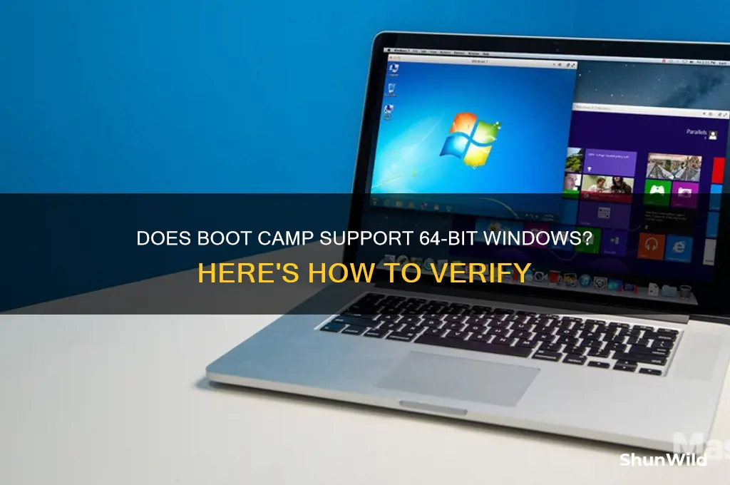 how to check if boot camp supports 64-bit windows