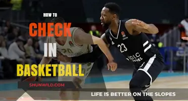 Mastering the Art of Checking in Basketball