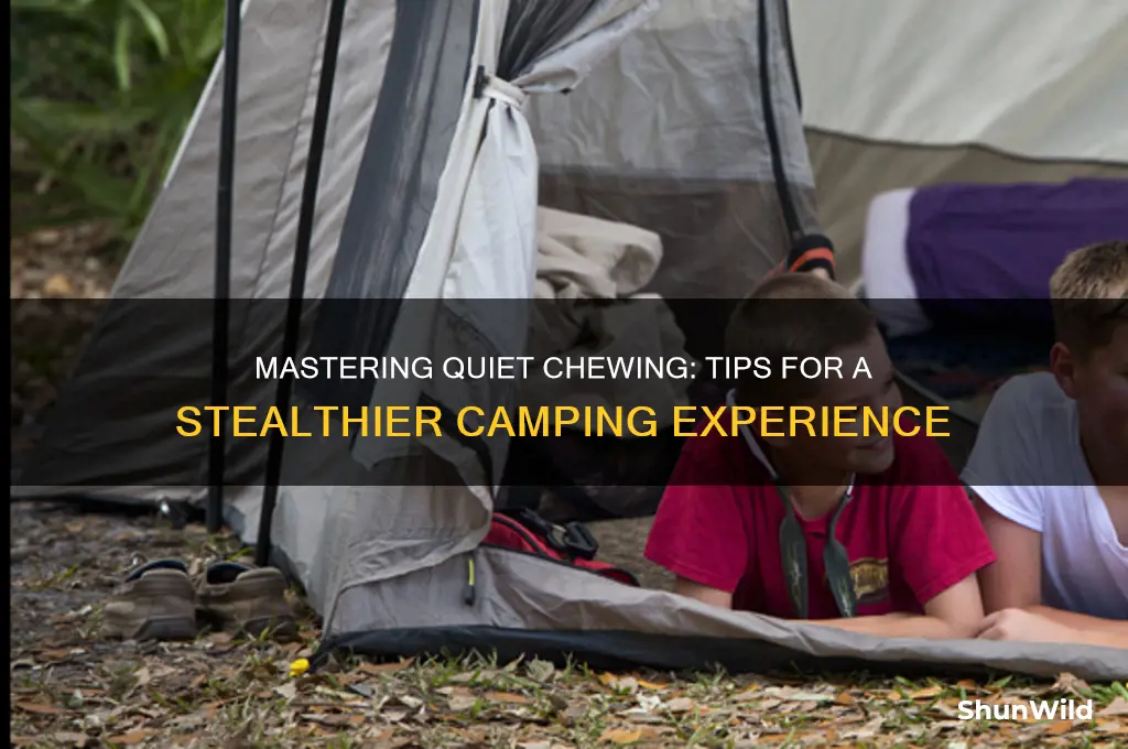 how to chew quiteter camp