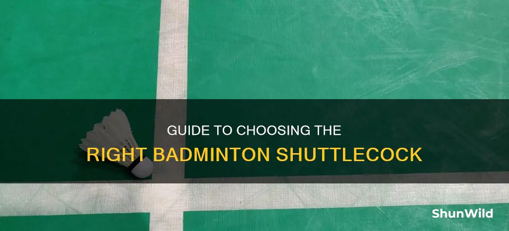 how to choose badminton shuttlecock