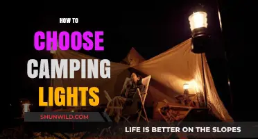Brighten Your Outdoor Adventure: A Guide to Choosing Camping Lights