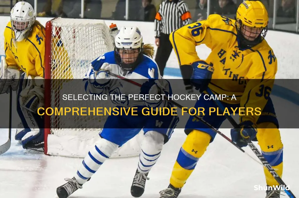 how to choose hockey camps