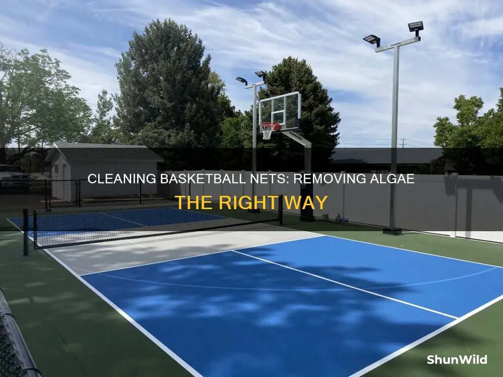 how to clean algae from basketball nets