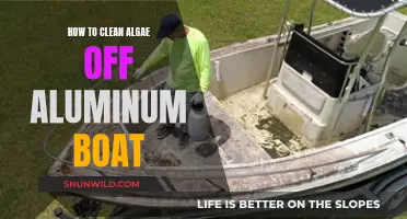 Cleaning Aluminum Boats: Removing Algae the Right Way