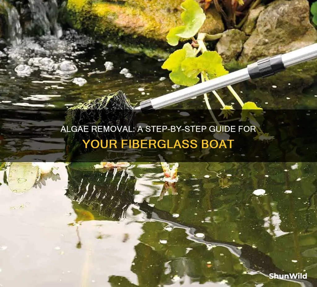 how to clean algae off fiberglass boat