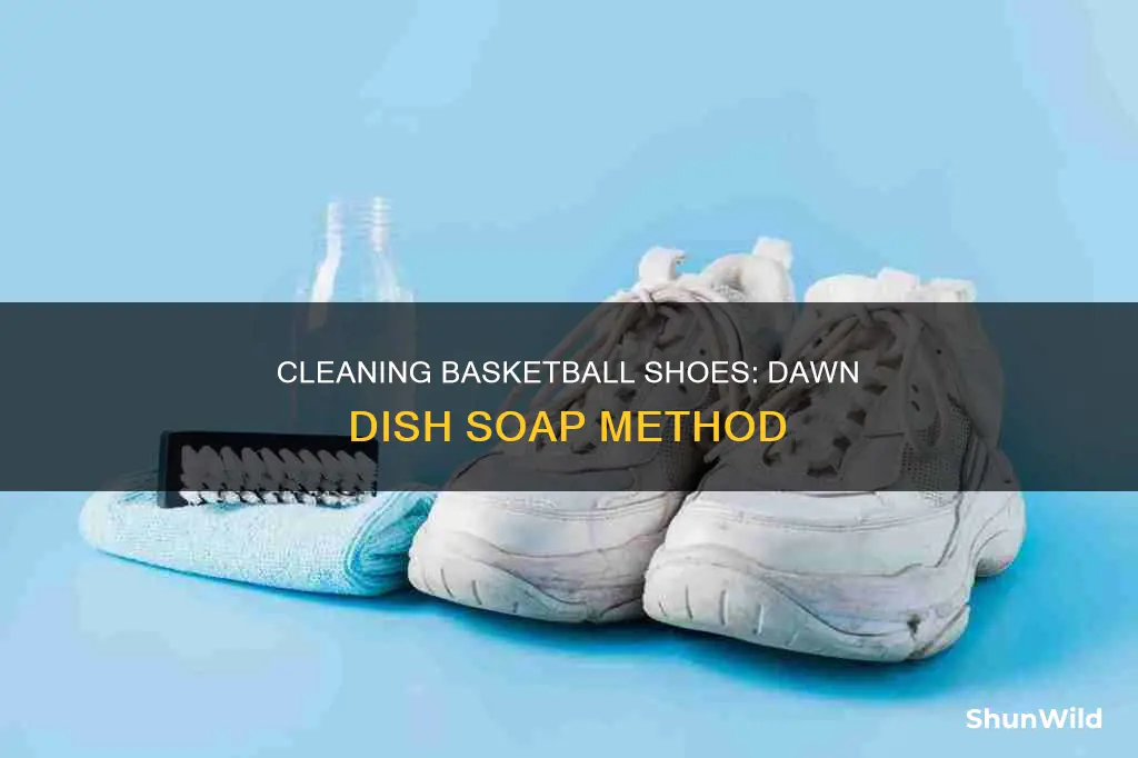 how to clean basketball shoes with dawn dish soap