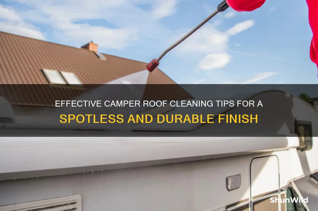 how to clean camper roof