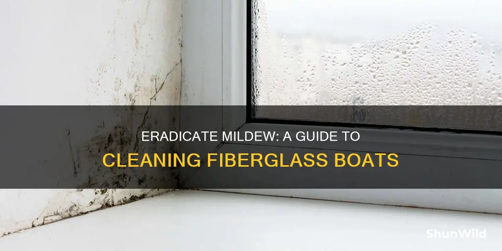 how to clean fiberglass boat mildew