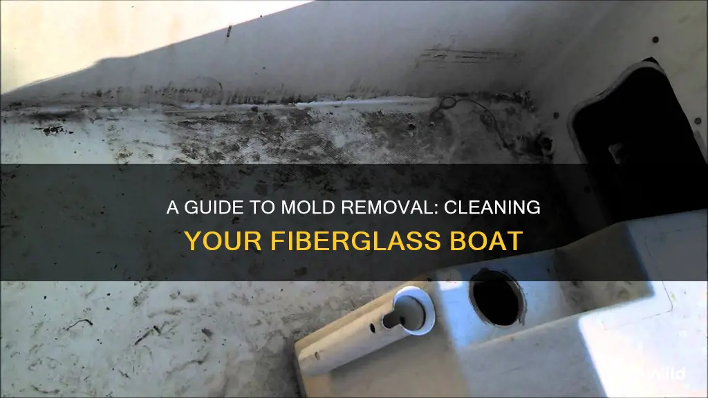 how to clean mold off fiberglass boat