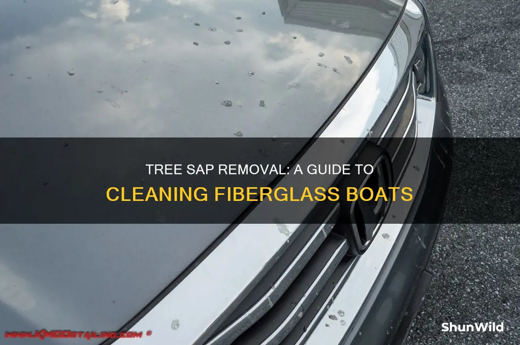 how to clean tree sap off fiberglass boat