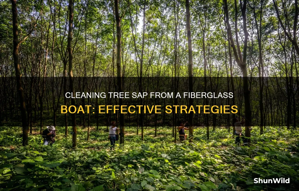 how to clean tree sap off fiberglass boat