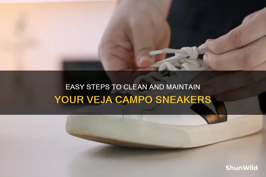 how to clean veja campo