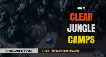 Mastering Jungle Camps: Efficient Strategies for Clearing and Dominating