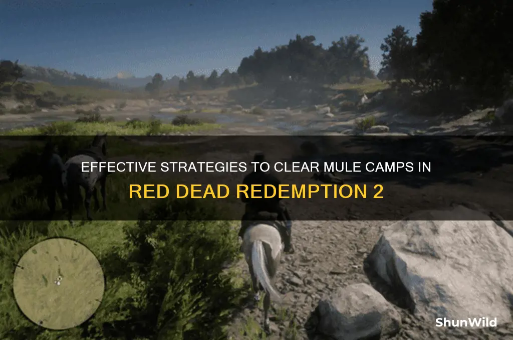 how to clear mule camps