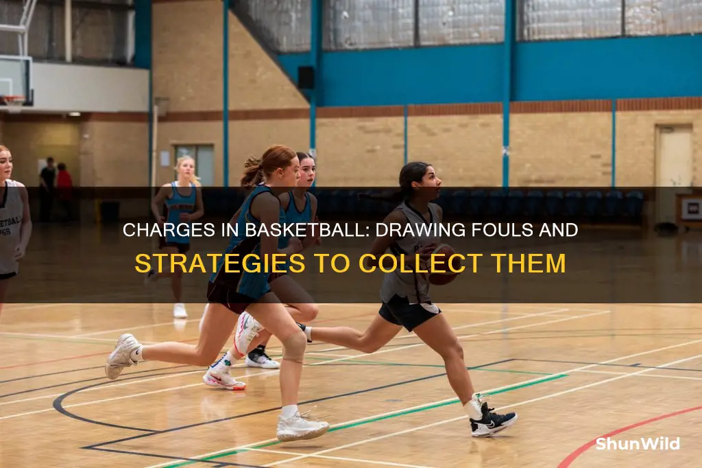 how to collect a charge in basketball