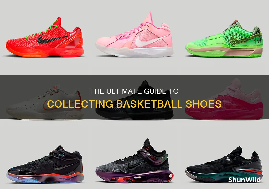 how to collect basketball shoes
