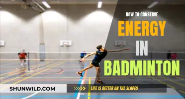 Strategizing Badminton: Energy Conservation Techniques