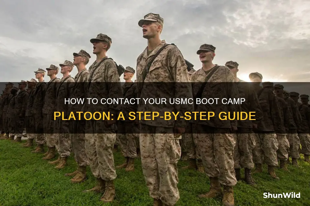 how to contact boot camp platoon usmc