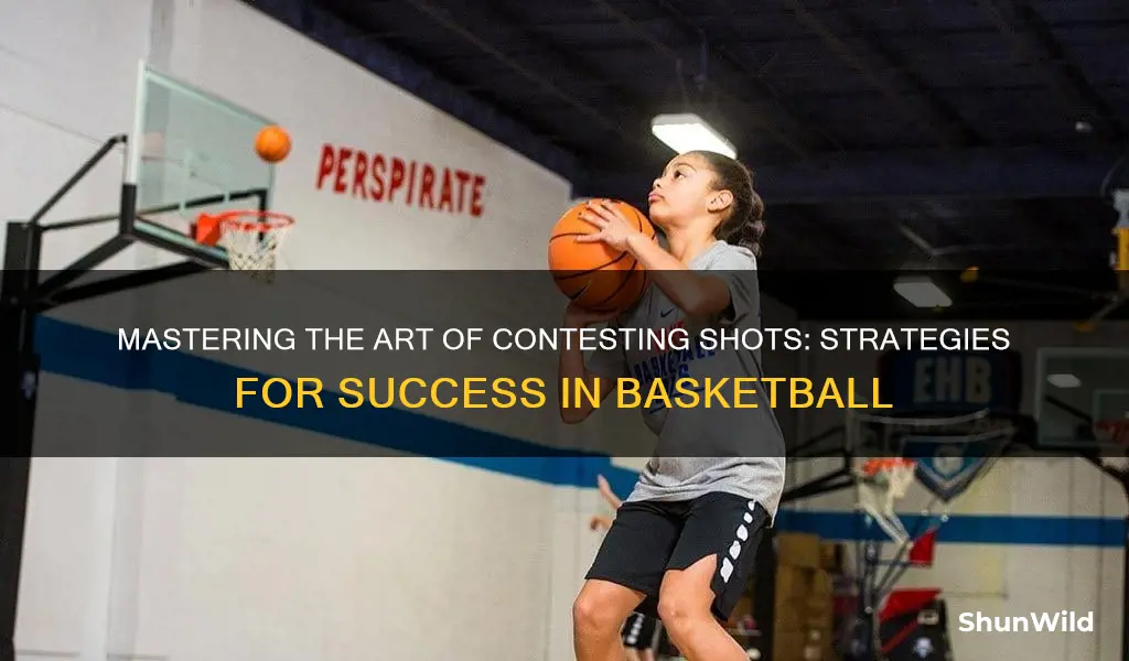 how to contest a shot in basketball