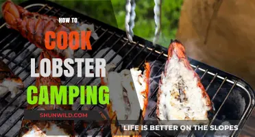 Camping Lobster Feast: Easy Cooking Tips for Outdoor Adventures