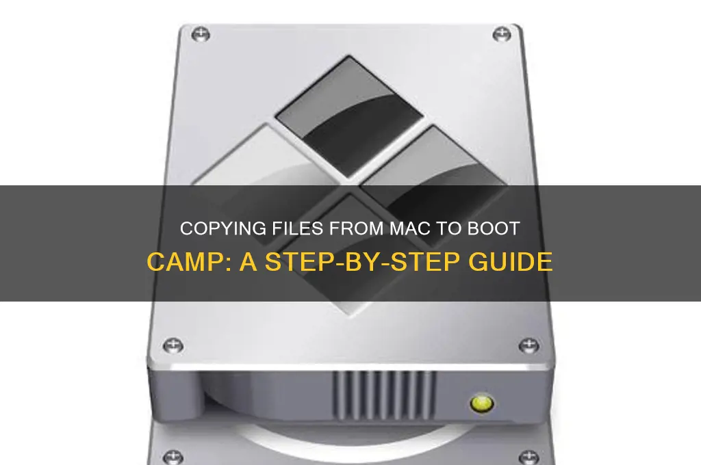how to copy files from mac to boot camp