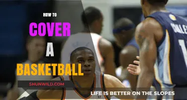 Mastering Basketball: Covering the Basics