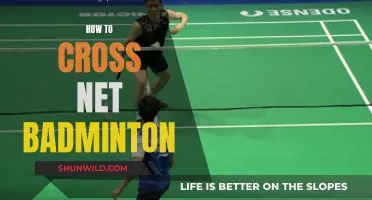 Mastering the Net Game: Strategies for Badminton Wins